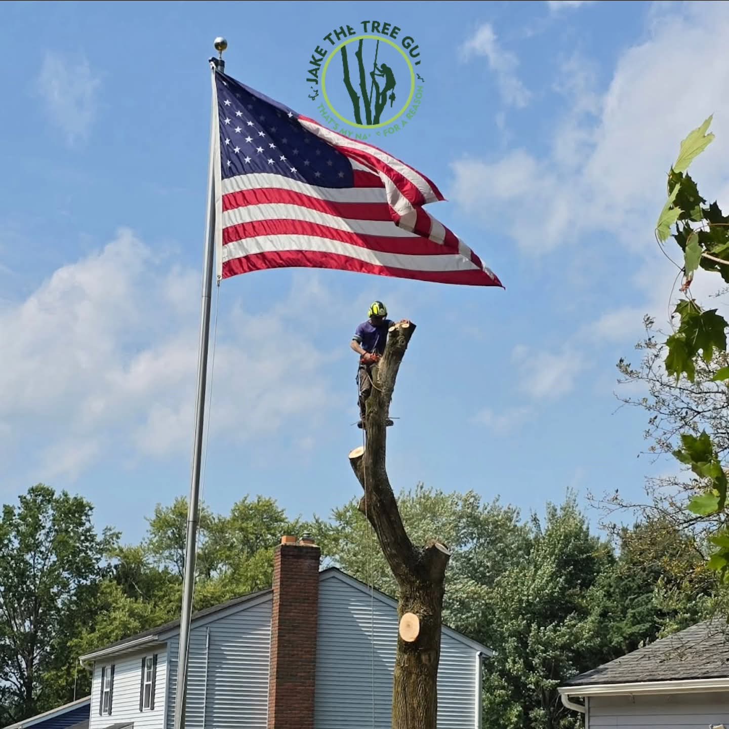 Jake standing on top of a tree with American flag in background