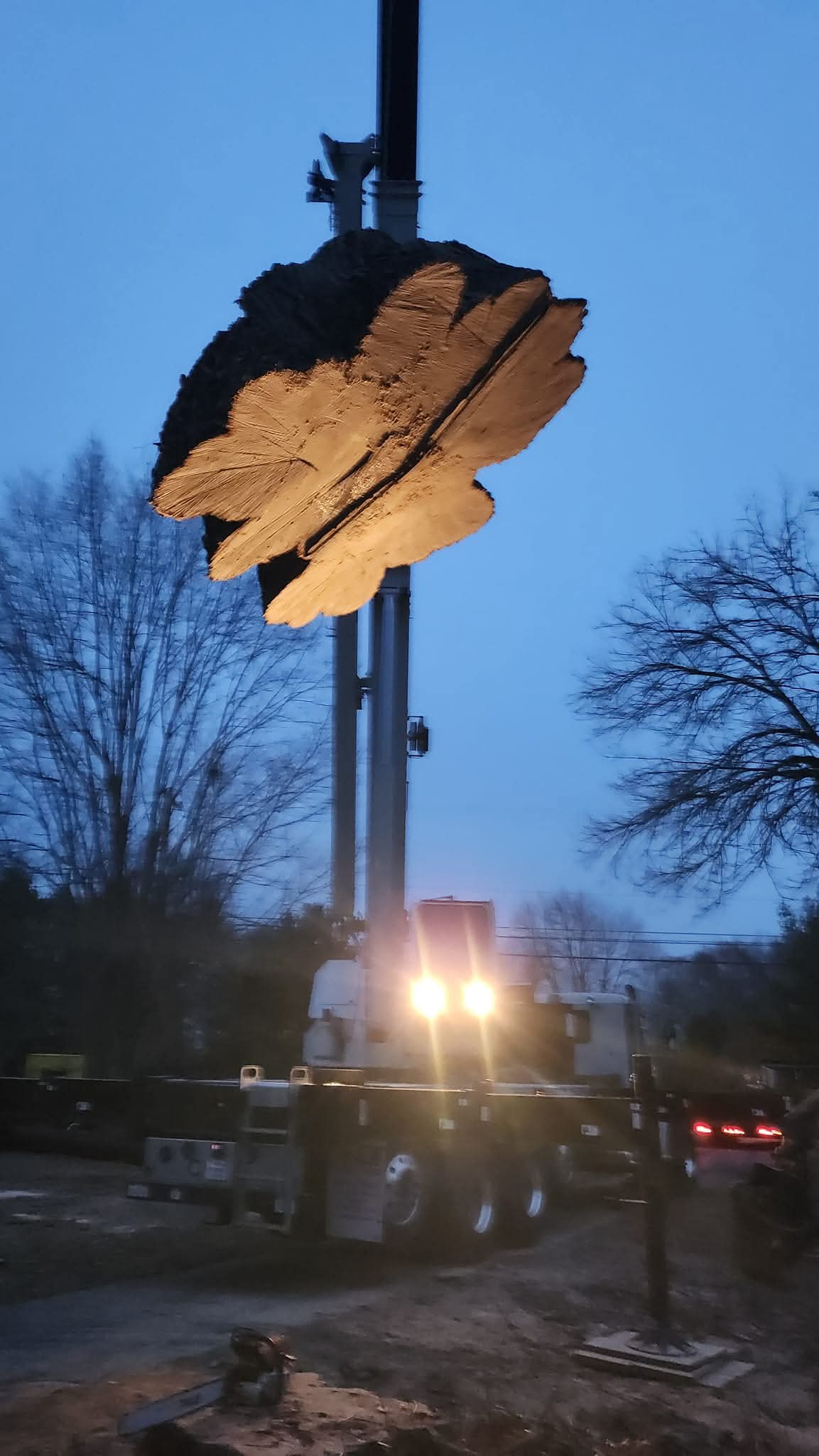 Massive tree section lifted by crane at dusk