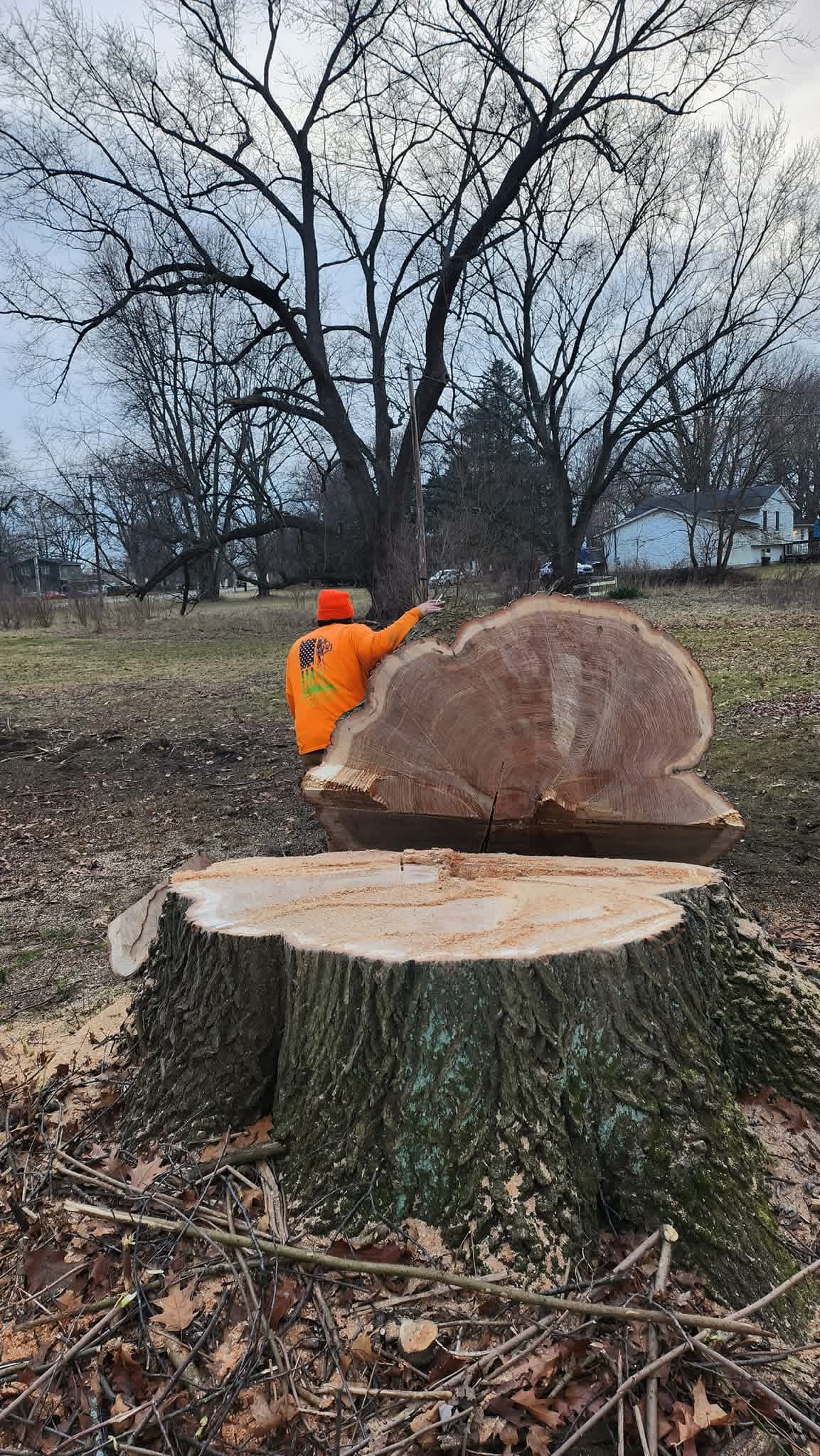 Crew member actively cutting large felled tree into sections with chainsaw dust visible