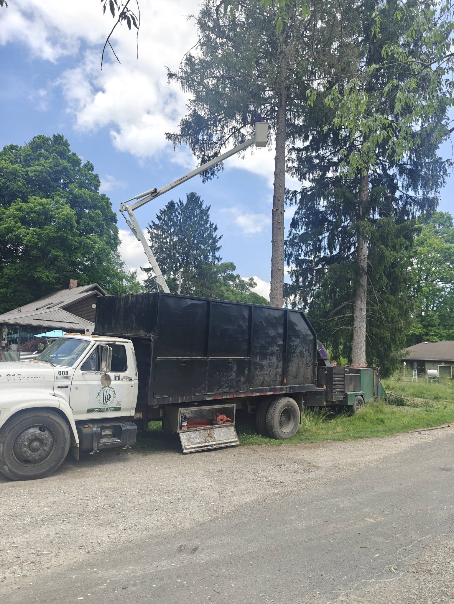 Bucket truck with extended boom removing pine trees next to residential home