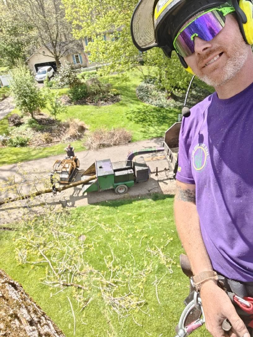 Jake selfie in tree with wood chipper and stump grinder equipment visible below in residential yard