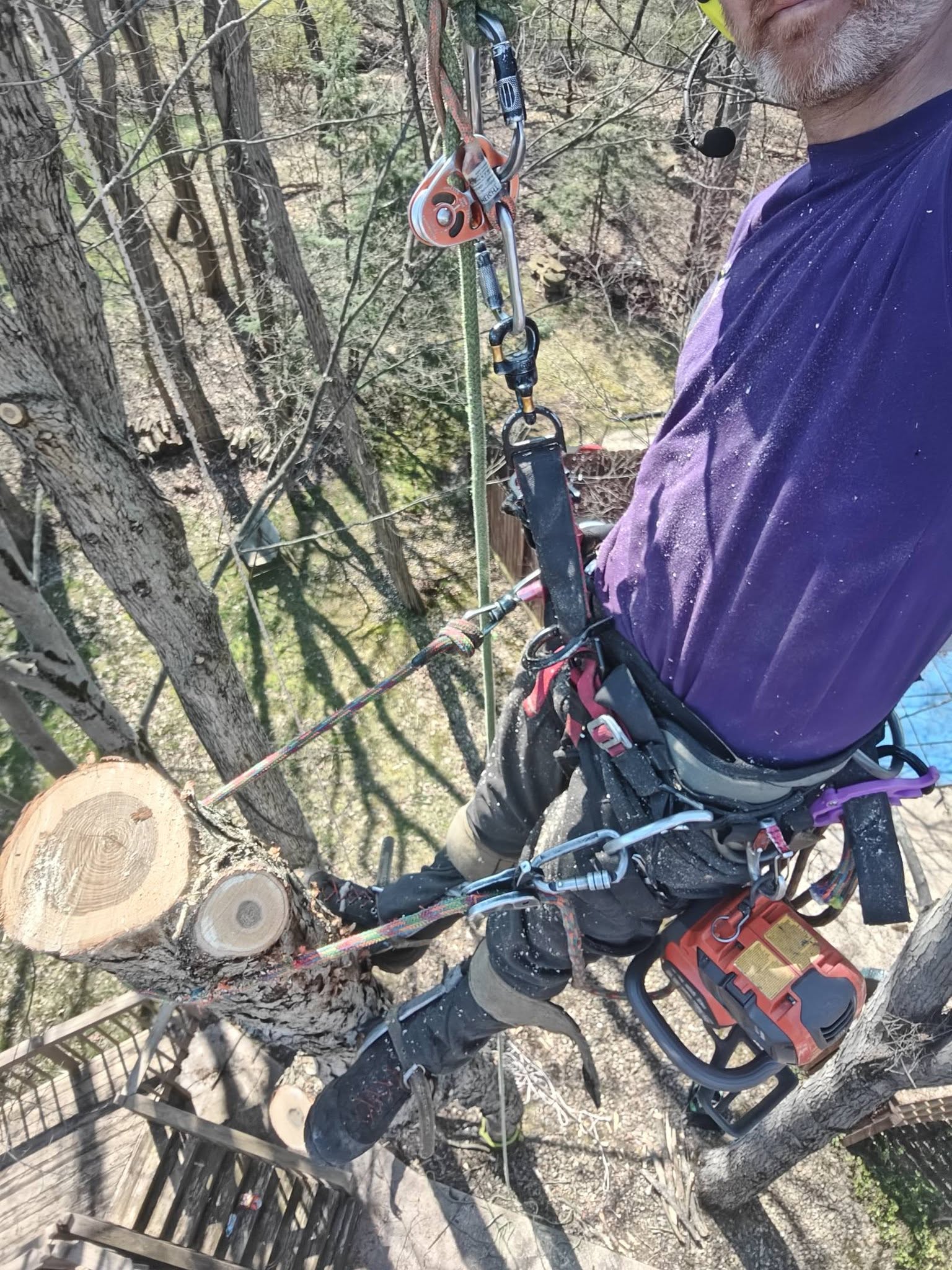 Jake rigging a freshly cut log section with ropes and pulleys while holding a chainsaw in a tree
